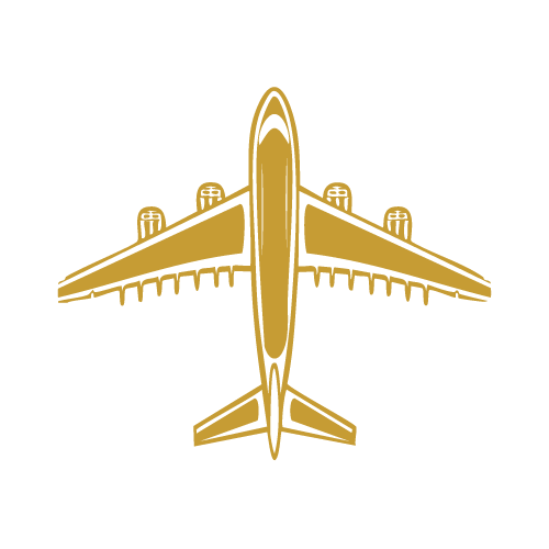 Zlatna ikonica aviona – simbol prava u oblasti turizma i putovanja.